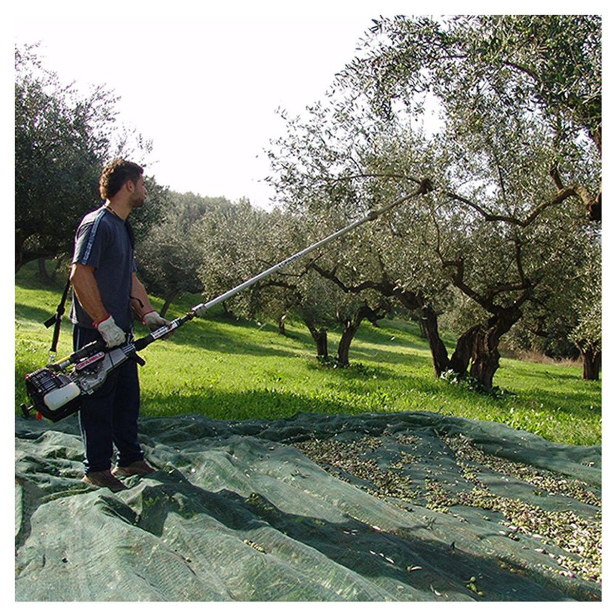 CIFARELLI - Cosechador De Olivos Cifarelli Sc-800