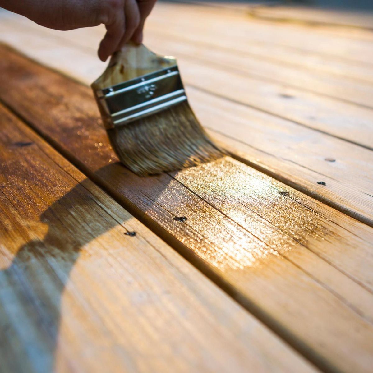 SAYERLACK - Tinte Concentrado Mate 0.25 galón(es) Nogal