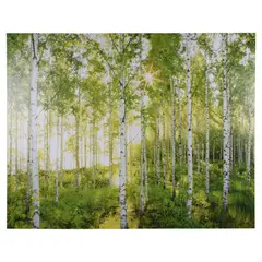 KOMAR - Papel Fotomural 8 Paneles Bosque Haya