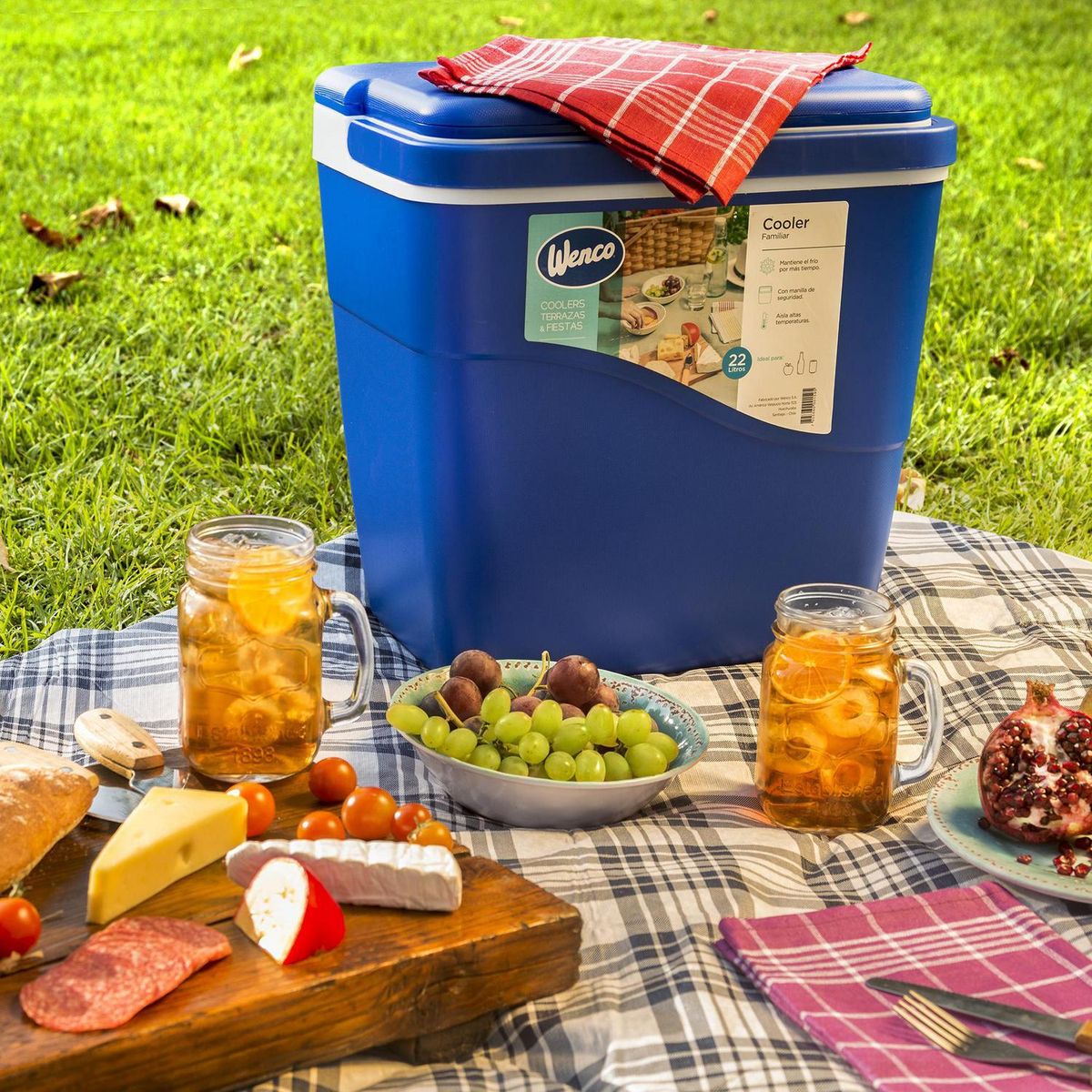 WENCO - Cooler 22 l Azul