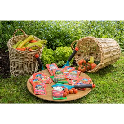 Imagen 2 del producto Mix Semillas de Hortalizas 2.5 gr Sachet