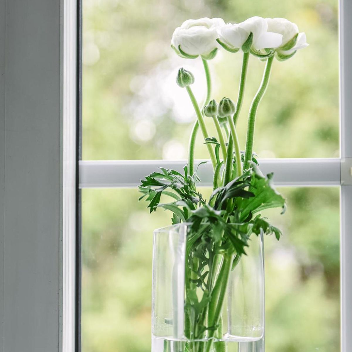 JUST HOME COLLECTION - Florero 20x7x7 cm vidrio Transparente