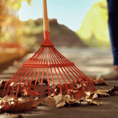 Imagen 2 del producto Barrehojas de metal naranjo con mango reversible