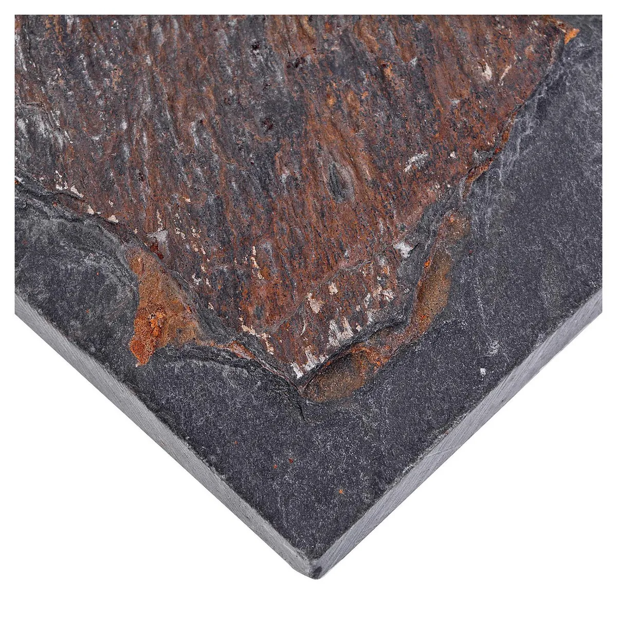 HOLZTEK - Piedra Natural Pizarra 10x20 cm Café. 0.4 m2