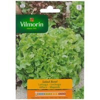 Semilla Lechuga Salad 3 gr Sachet
