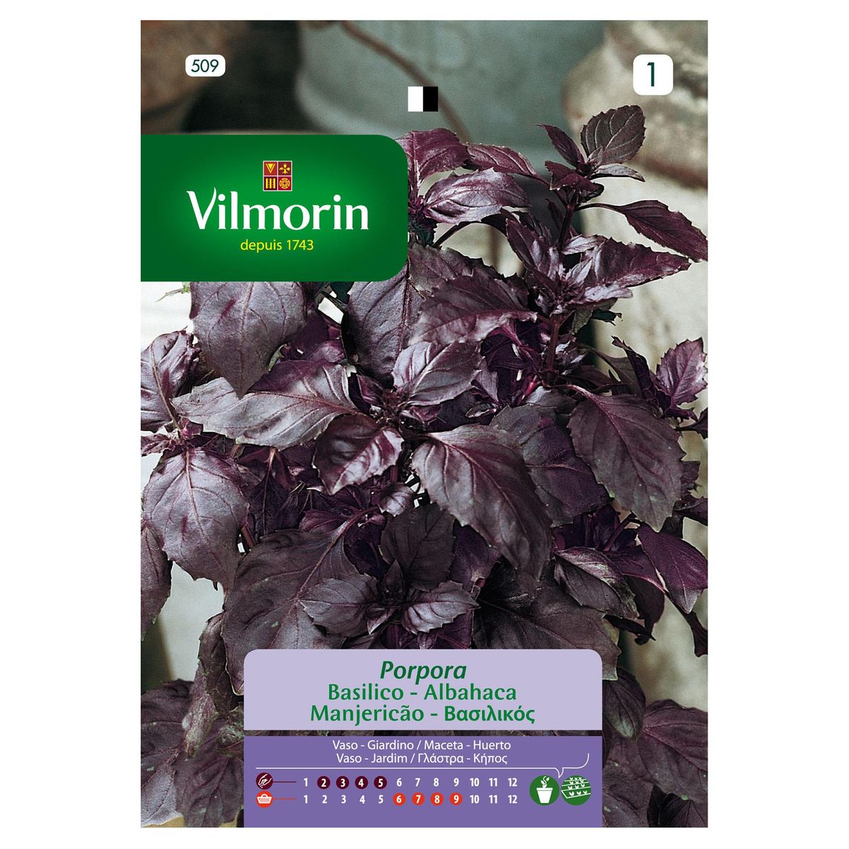 VILMORIN - Semilla Albahaca Púrpura 1 gr Sachet