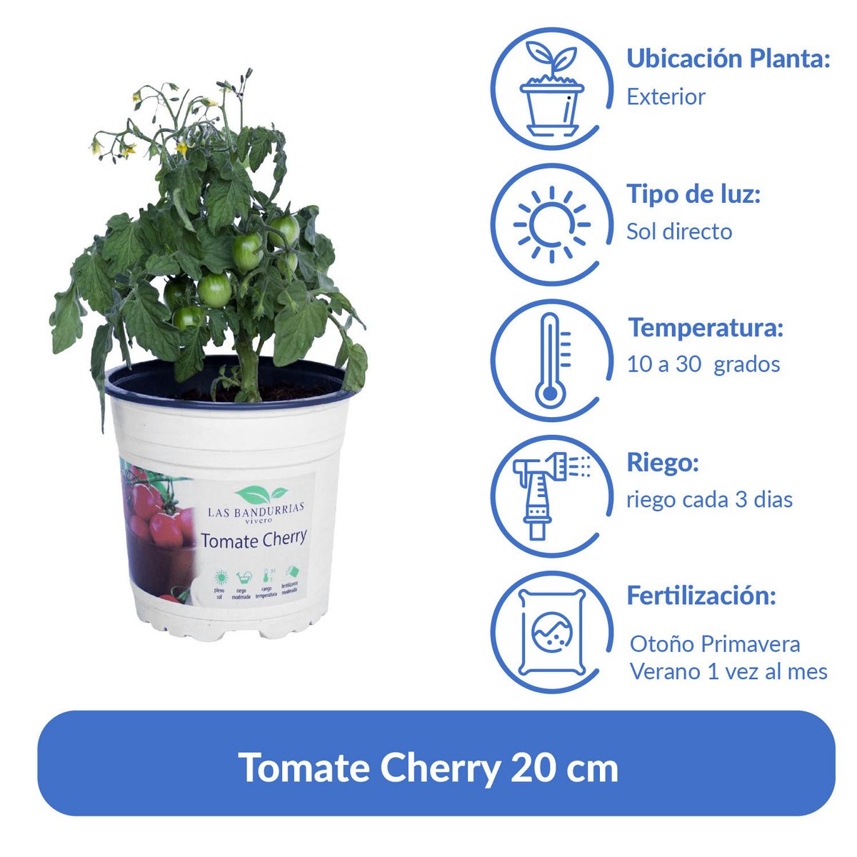 Tomate Cherry 20 cm Natural CT13, marca LAS BANDURRIAS - Foto 2
