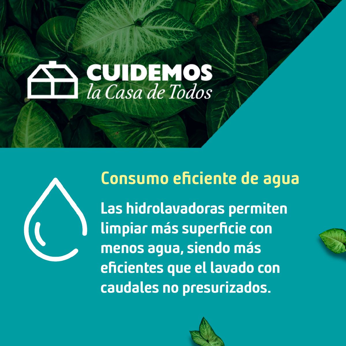 TOYAMA - Hidrolavadora Gasolina 9700 W 240 Bar HLG3600-A