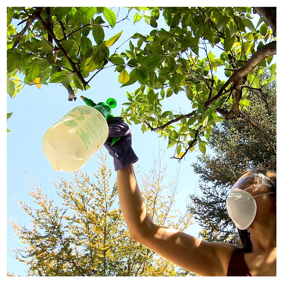 ANASAC - Insecticida Dimetoato plus 100 cc