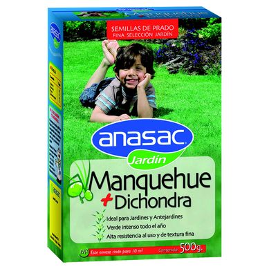 Semilla de Pasto Manquehue + Dichondra 500 gr Caja