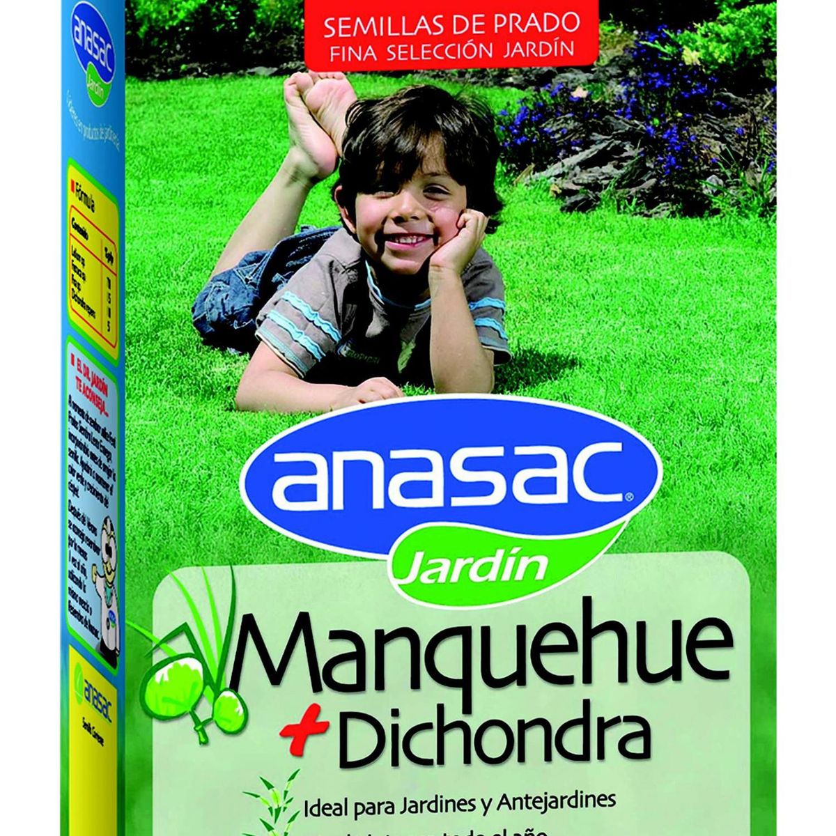 ANASAC - Semilla de Pasto Manquehue + Dichondra 0.5 kg Caja