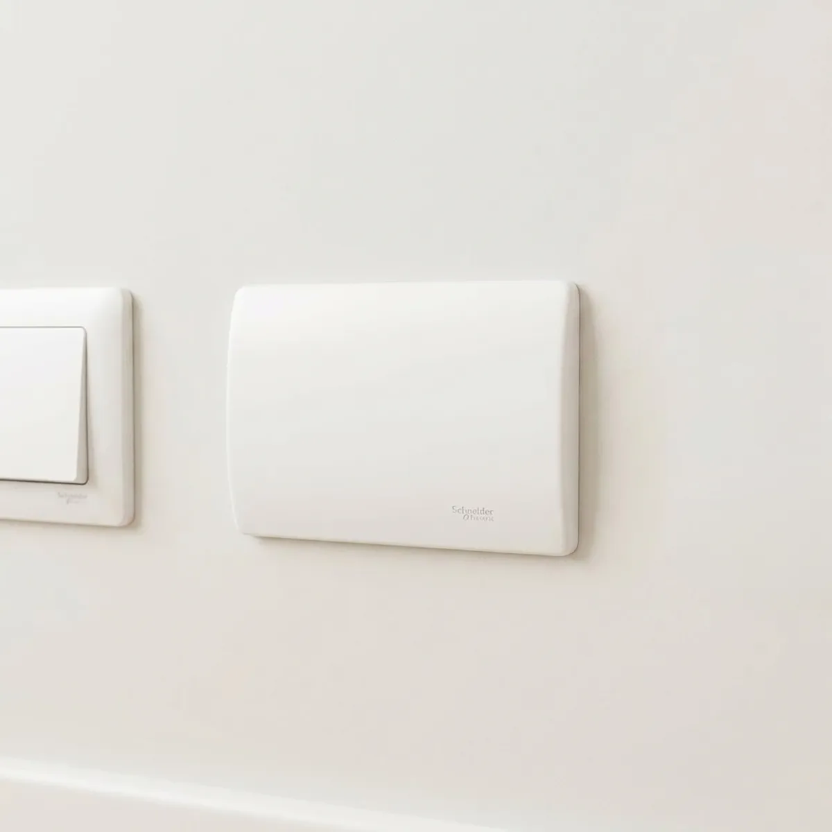 Placa Ciega Con Soporte Blanco Genesis, marca SCHNEIDER ELECTRIC - Foto 2