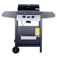 Parrilla a Gas 2 Quemadores