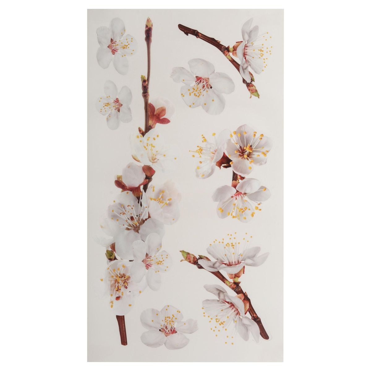 ROOMMATES - Sticker decorativo ciruelo 26 unidades