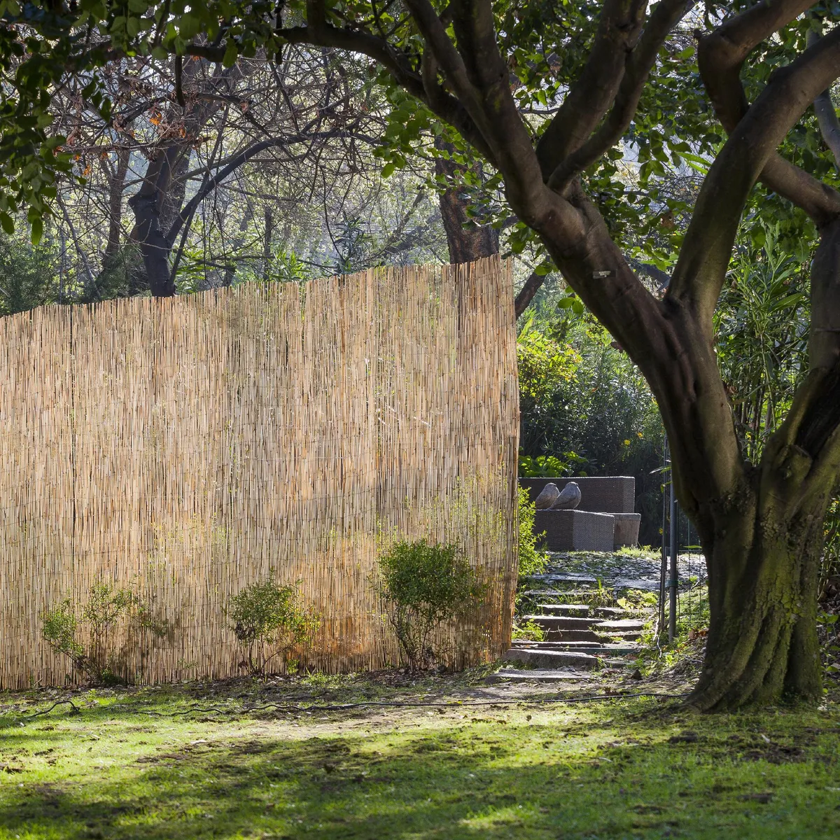 ERGO - Cierre de caña 2x5 m
