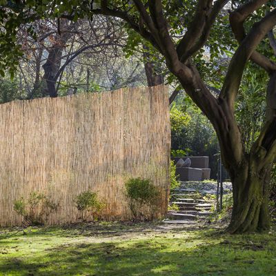 Imagen 2 del producto Cierre De Caña Para Jardín 2X5 Metros