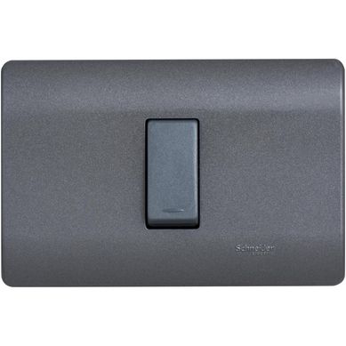 Interruptor simple (9/12) 16 A Gris oscuro Genesis