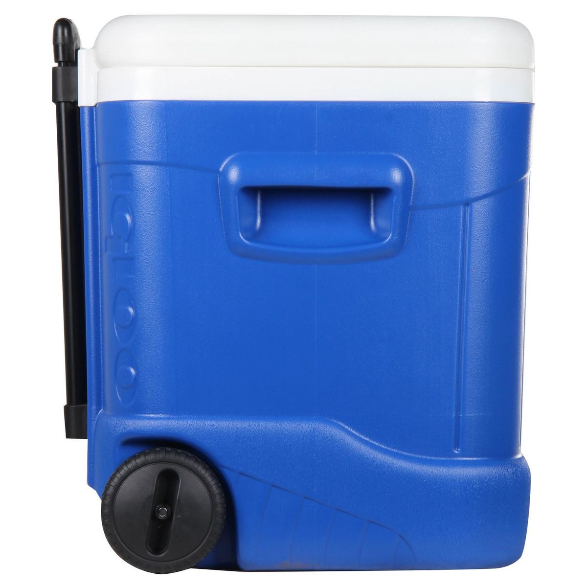 IGLOO - Nevera Ice Cube 56 l Multicolor