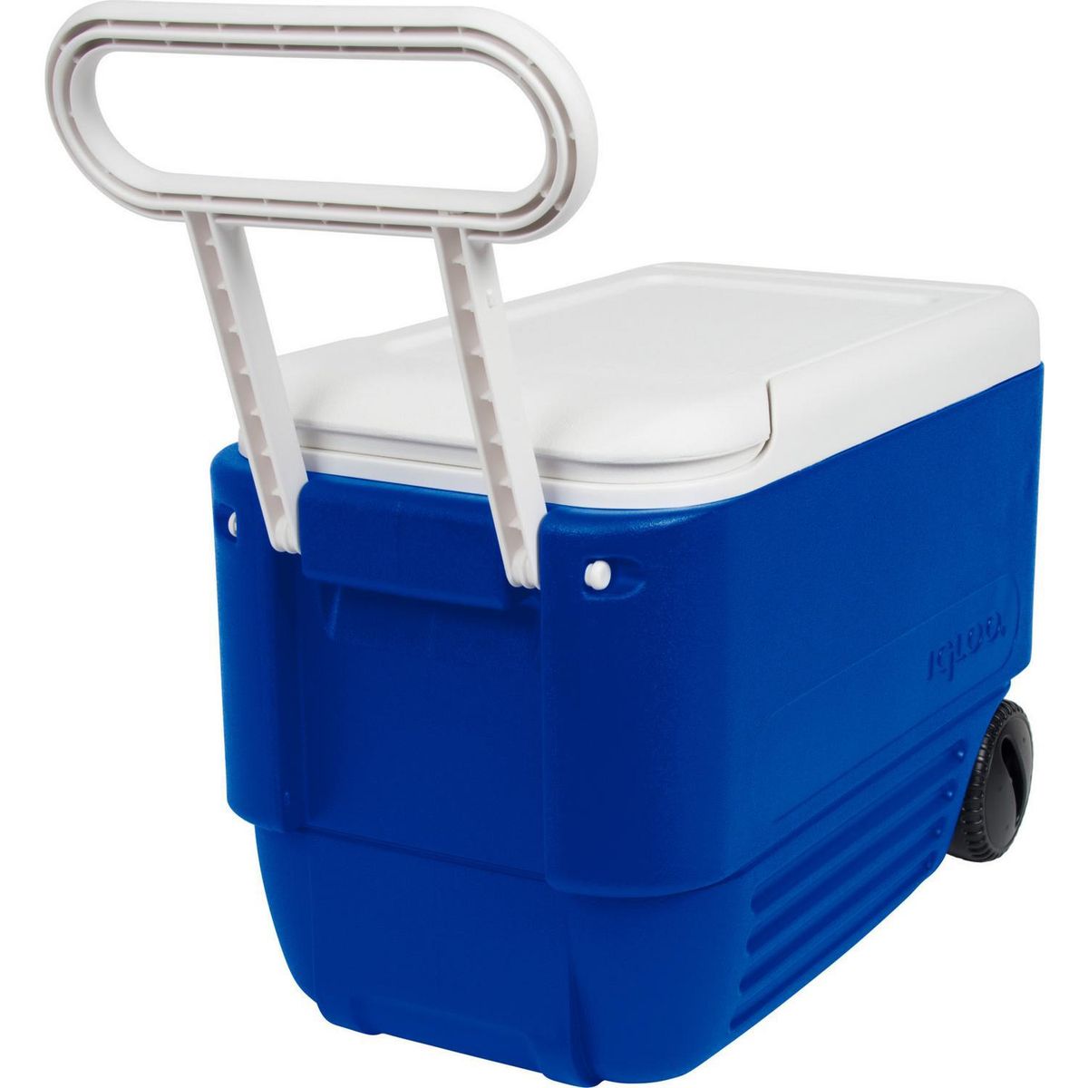 IGLOO - Nevera Cooler con Ruedas 36 l Colores