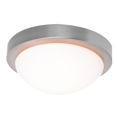 Imagen 2 del producto Plafón 25 cm 60 W. Plata