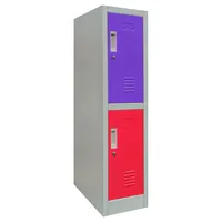 Locker de Oficina 2 Puerta(s) 2 Repisa(s) 50xx28 cm Gris