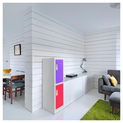 Imagen 2 del producto Locker de Oficina 2 Puerta(s) 2 Repisa(s) 50xx28 cm Gris