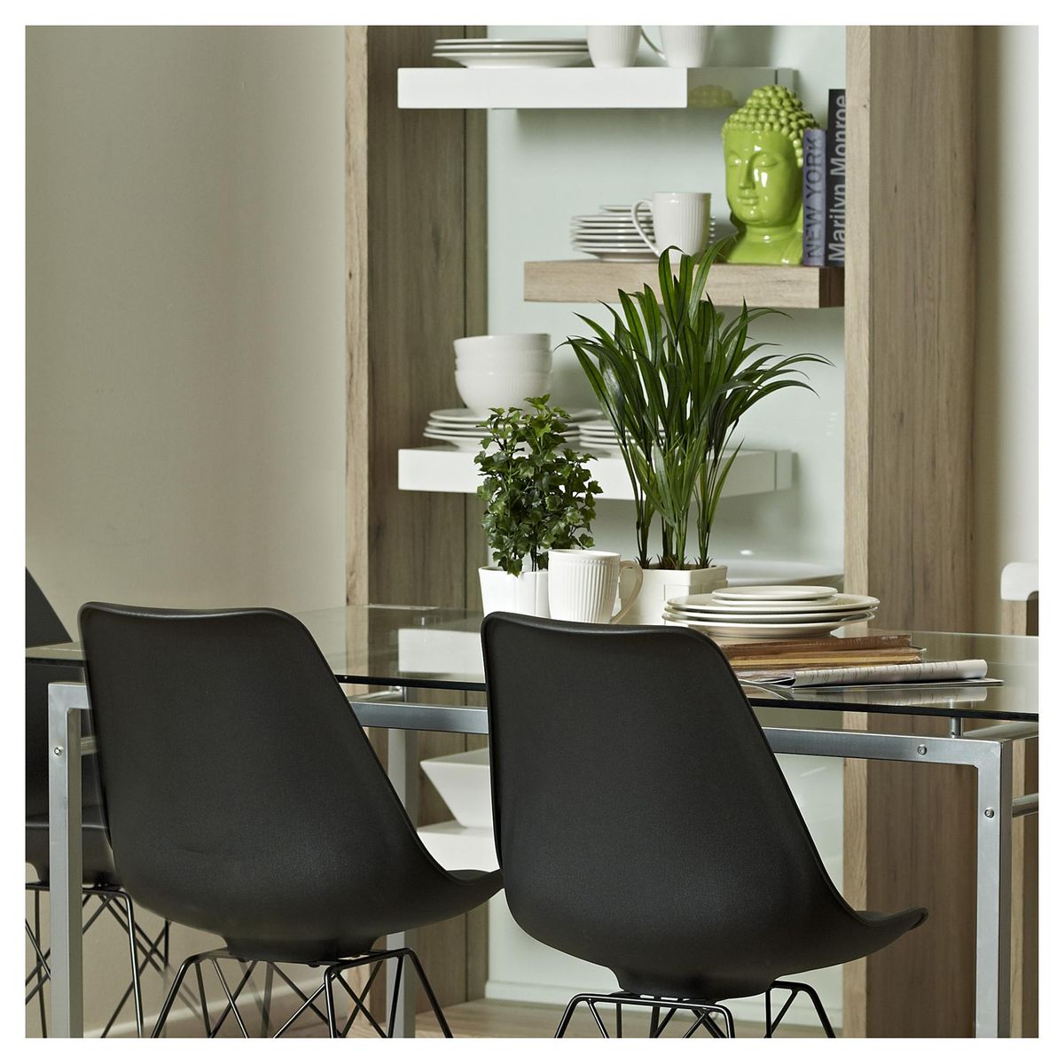 LAS BANDURRIAS - Arbusto Rosa Floribunda Natural 