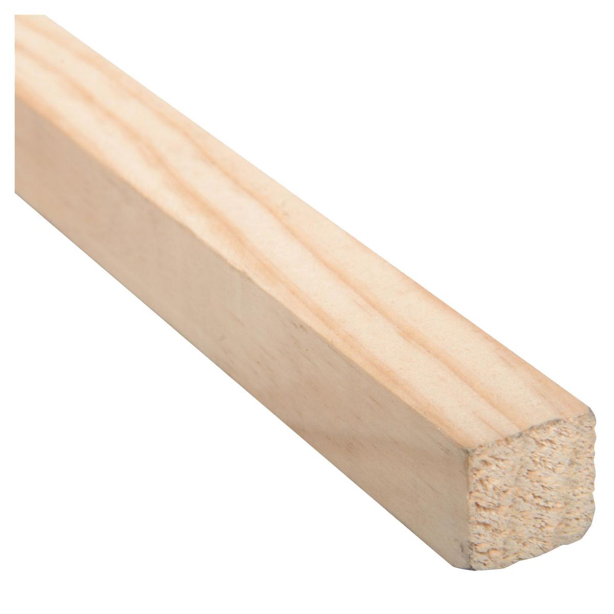 MULTIMARCA - Junquillo Pino Finger Natural 20 mm 2x300 cm