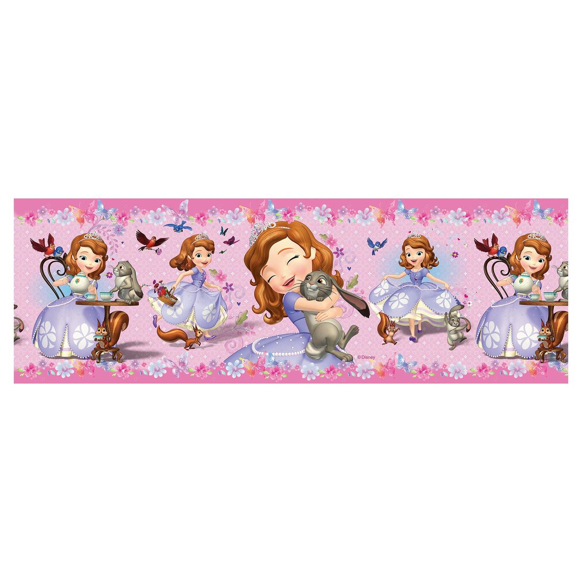 MURESCO - Guarda Adhesiva Princesa 5 m2