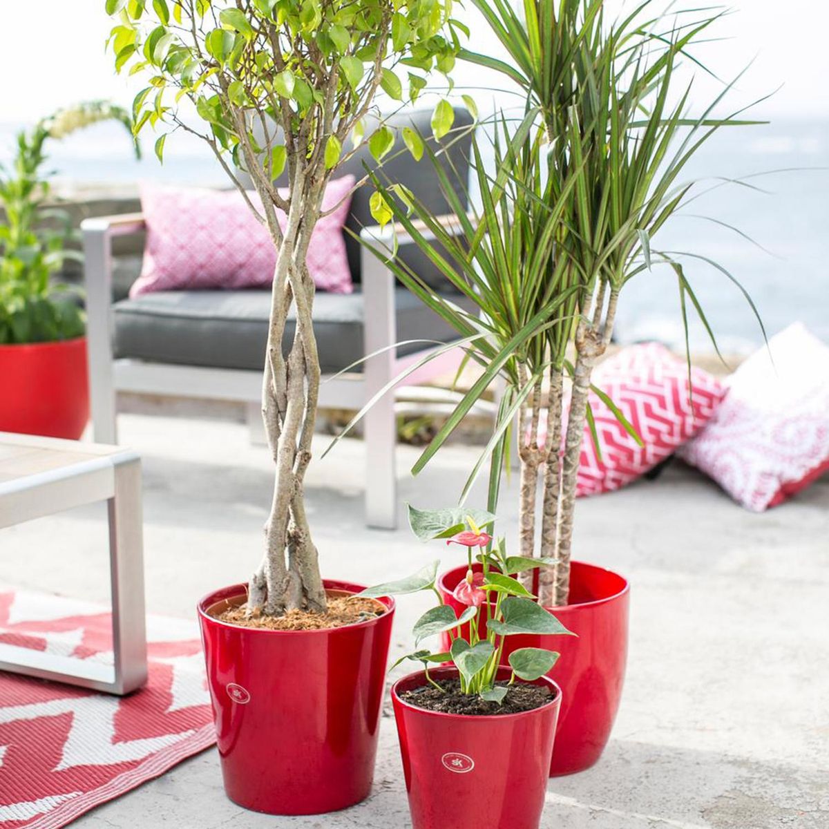 SK - Macetero de cerámica