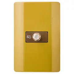 SCHNEIDER ELECTRIC - Toma coaxial para TV y video dorado