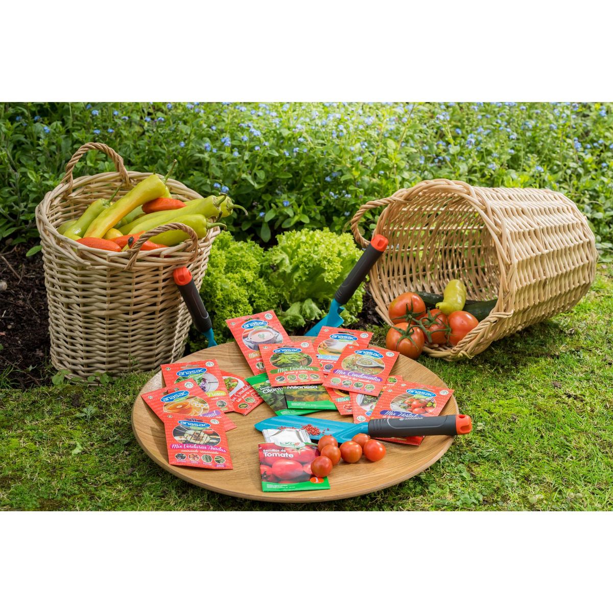 ANASAC - Mix Semillas Pebre Chileno 3 gr Sachet