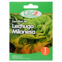 Semilla Lechuga Milanesa 1 gr Sachet