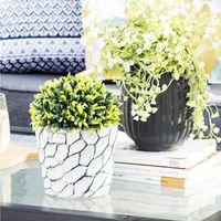 Macetero de cerámica