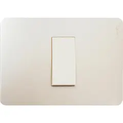 SCHNEIDER ELECTRIC - Interruptor conmutador (9/24) 10 A Beige Orion