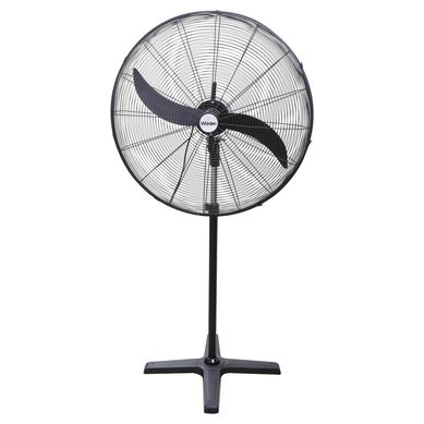 Ventilador pedestal 30