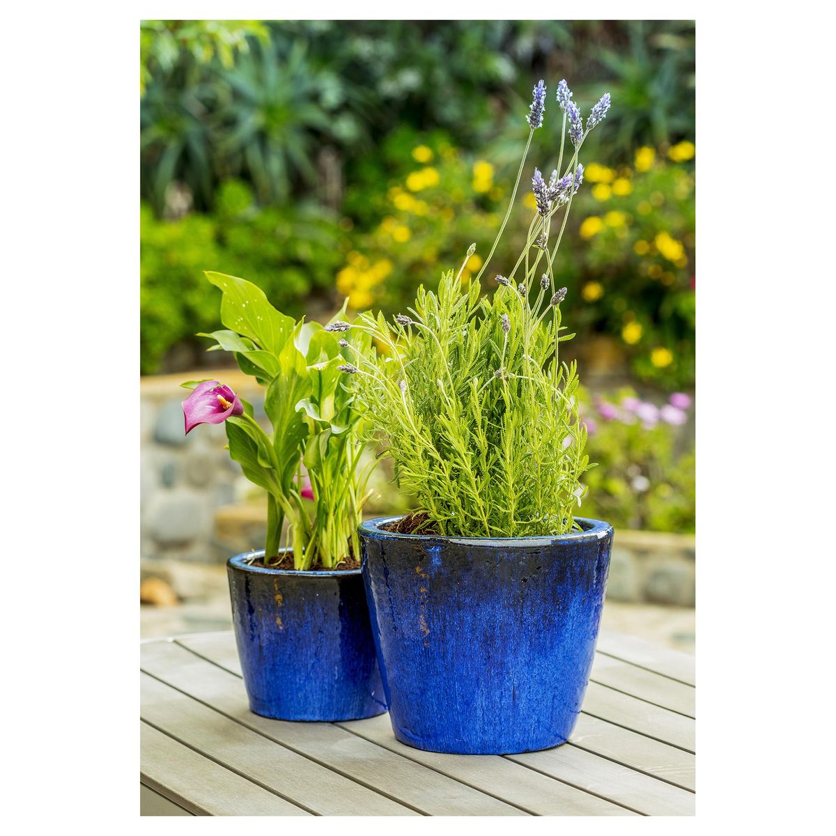 JUST HOME COLLECTION - Macetero de cerámica