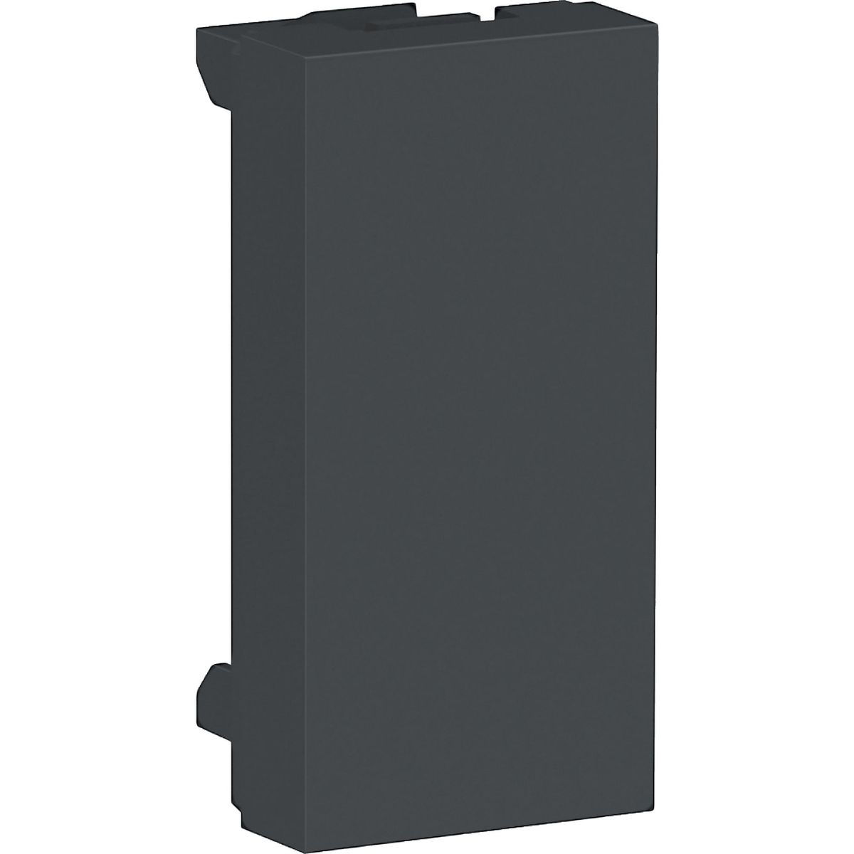 SCHNEIDER ELECTRIC - Módulo Polo Falso 1 Módulo - Grafito Orion