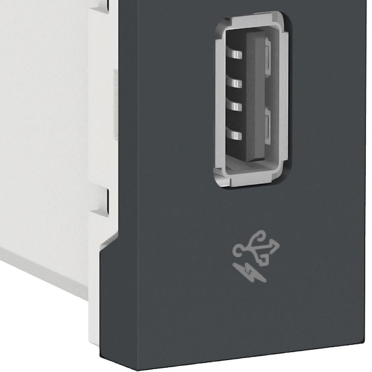 SCHNEIDER ELECTRIC - Módulo para cargador USB 1 A Grafito Orion