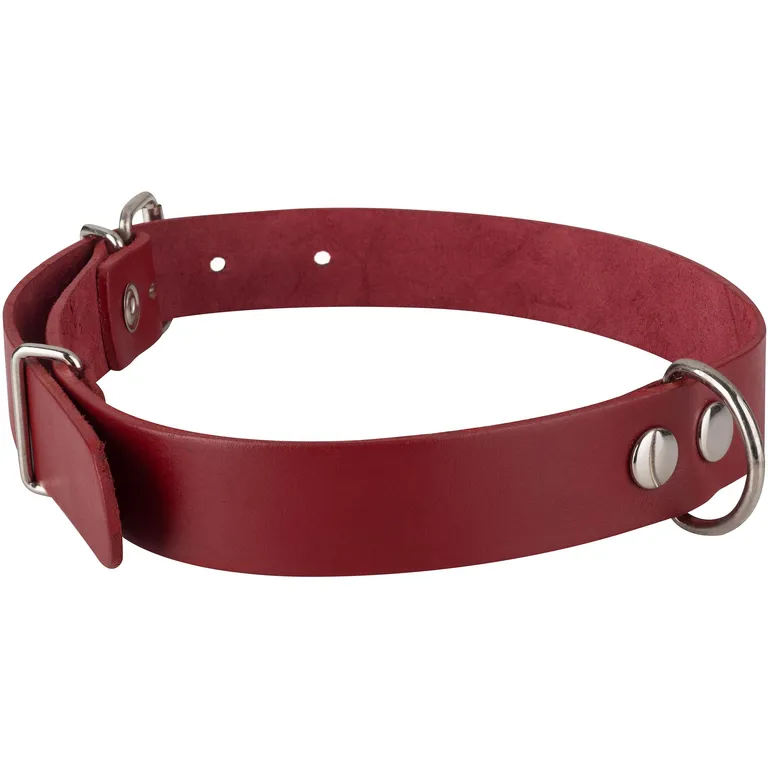 Collar Para Perro 75X3 Cm Hebilla Metálica Mascotas