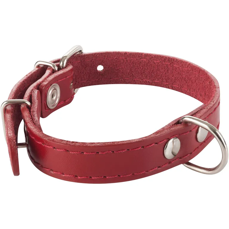 Collar Para Perro Suela 40X2 Cm Accesorio Mascotas