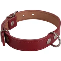 Collar Para Perro 50X2. 5 Cm Mascotas