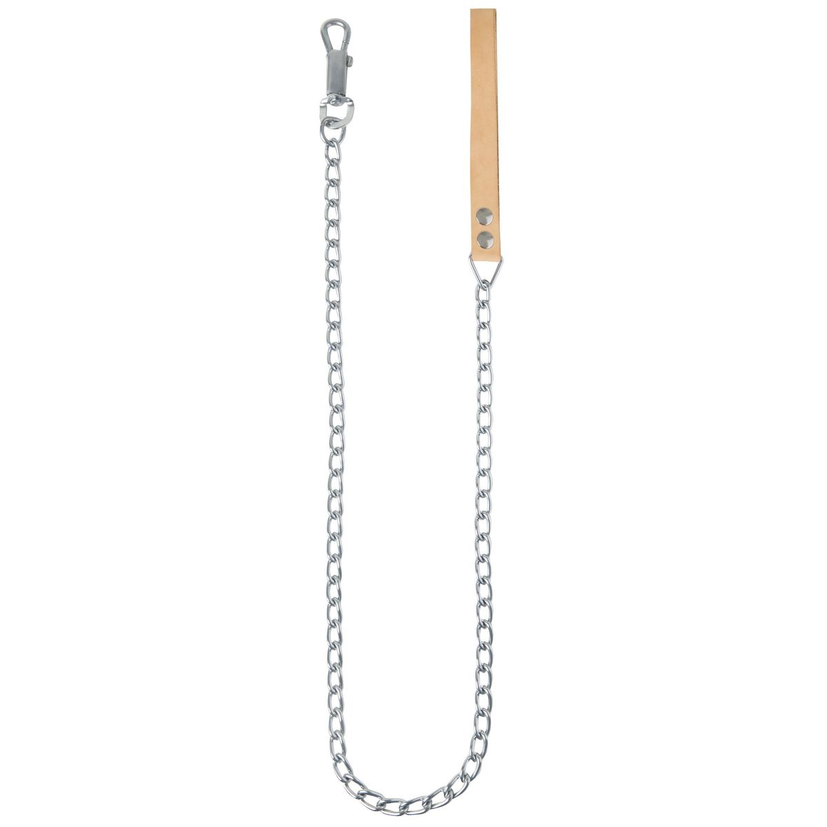 PETIZOOS - Correa para perro 122x0,4 cm