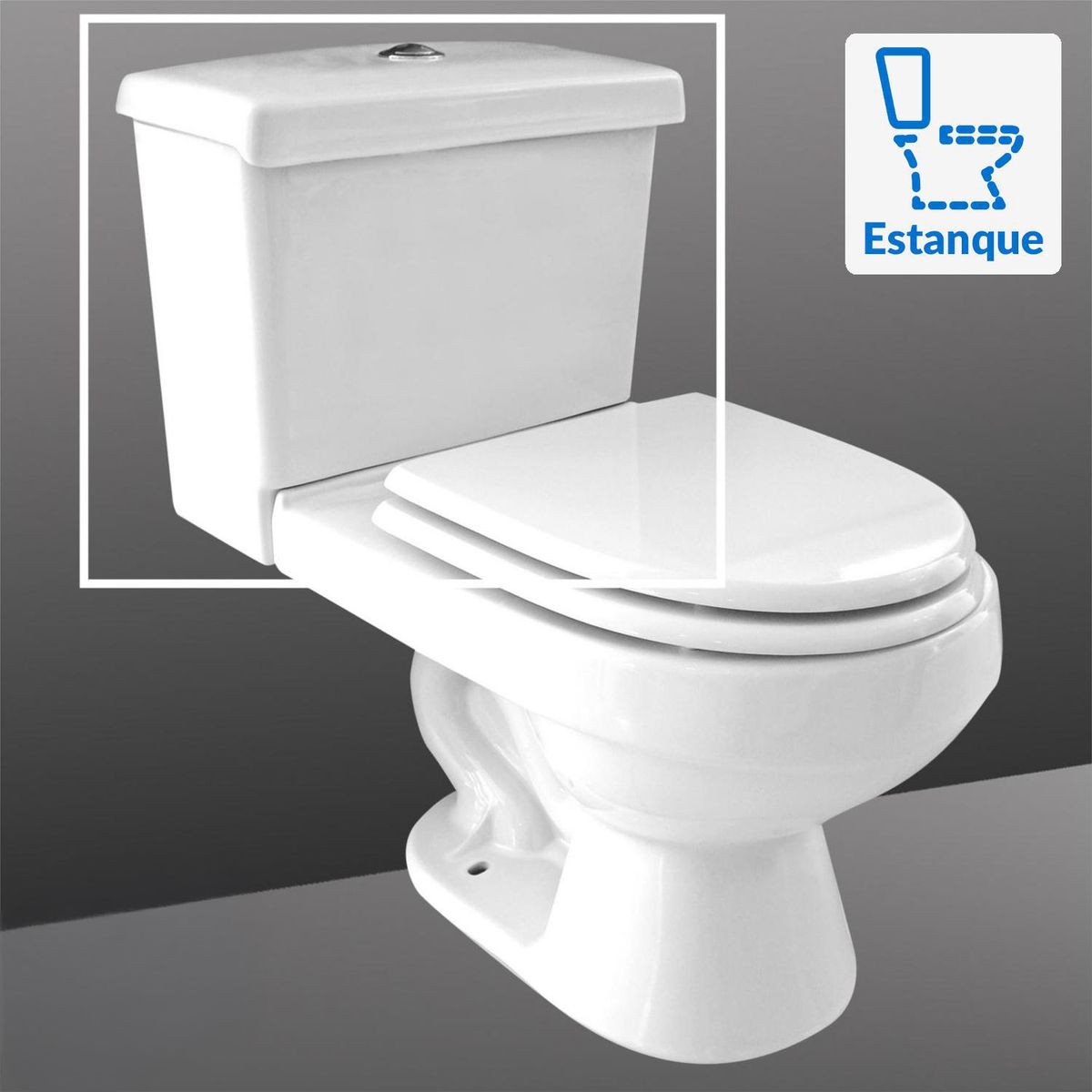 FANALOZA - Sanitario Two piece a Piso 30,5 cm 6 Litros Century Blanco