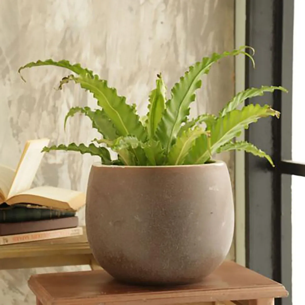 CASA BONITA - Macetero Ceuta de Cerámica 30x23 cm Beige