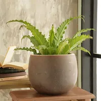 Macetero Ceuta de Cerámica 30x23 cm Beige