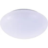 Plafón LED Basic luz fría 20 cm