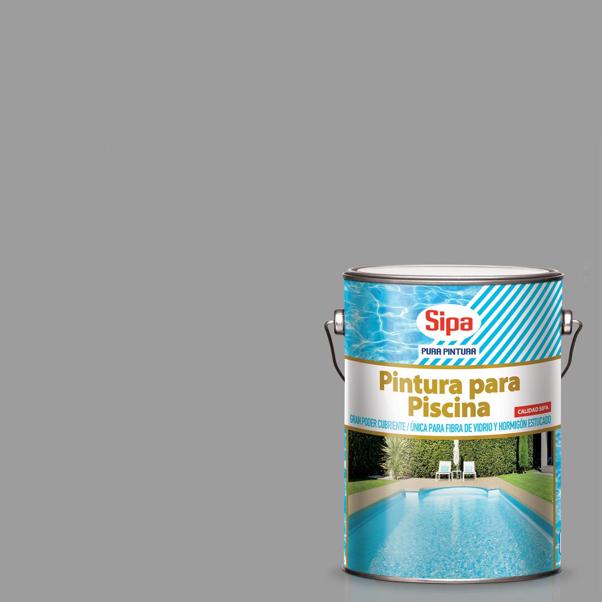 SIPA - Pintura para Piscina Secado Rápido Lata 1 galón(es) Mate Gris
