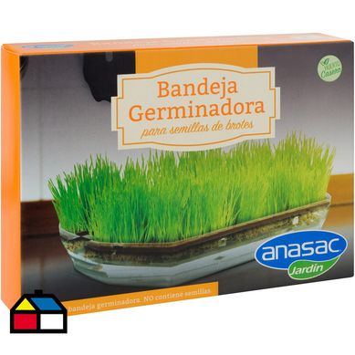 Bandeja germinadora de brotes
