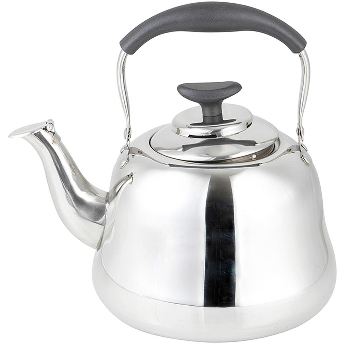 DUSSEL - Tetera Europea 4.5 l Acero Inoxidable Gris